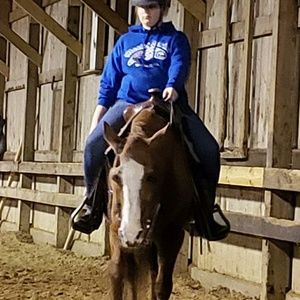 Meet your Posher, Ali